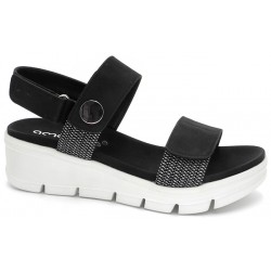 ZOAK 23505
