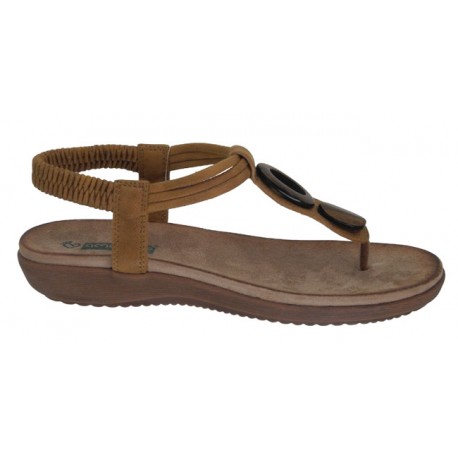 ZOAK 17063