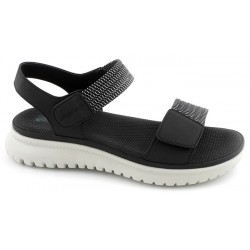 ZOAK 26586